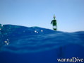 foto de buceo