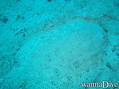 foto de buceo
