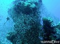 foto de buceo