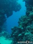 foto de buceo