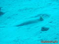 foto de buceo
