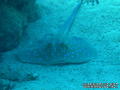 foto de buceo