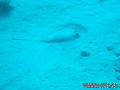 foto de buceo