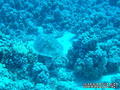 foto de buceo