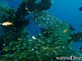 foto de buceo