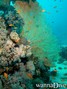 foto de buceo