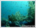 foto de buceo