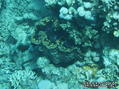 foto de buceo