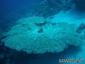 foto de buceo