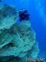 foto de buceo