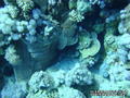 foto de buceo
