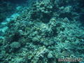 foto de buceo