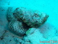 foto de buceo