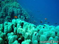 foto de buceo