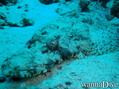 foto de buceo