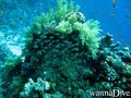 foto de buceo
