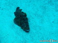 foto de buceo