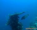 foto de buceo