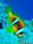 foto de buceo