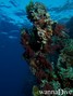 foto de buceo