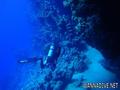 foto de buceo