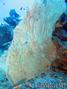 foto de buceo
