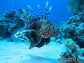 foto de buceo