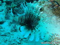 foto de buceo