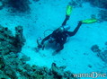 foto de buceo