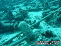 foto de buceo