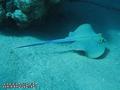 foto de buceo