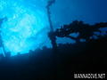foto de buceo
