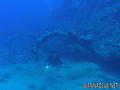 foto de buceo