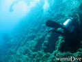 foto de buceo