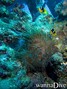 foto de buceo