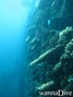 foto de buceo