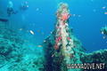 foto de buceo