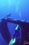 foto de buceo