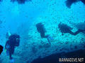 foto de buceo