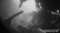 foto de buceo