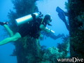 foto de buceo
