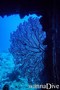 foto de buceo