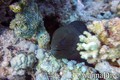 foto de buceo