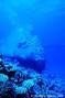foto de buceo
