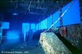 foto de buceo