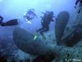 foto de buceo