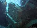 foto de buceo