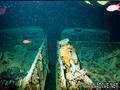 foto de buceo