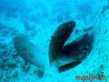 foto de buceo