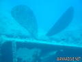 foto de buceo